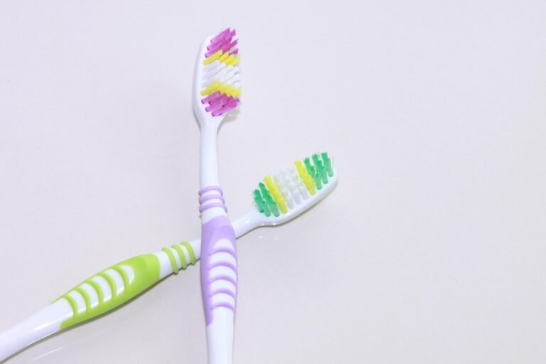 What resources are available for pre dental students