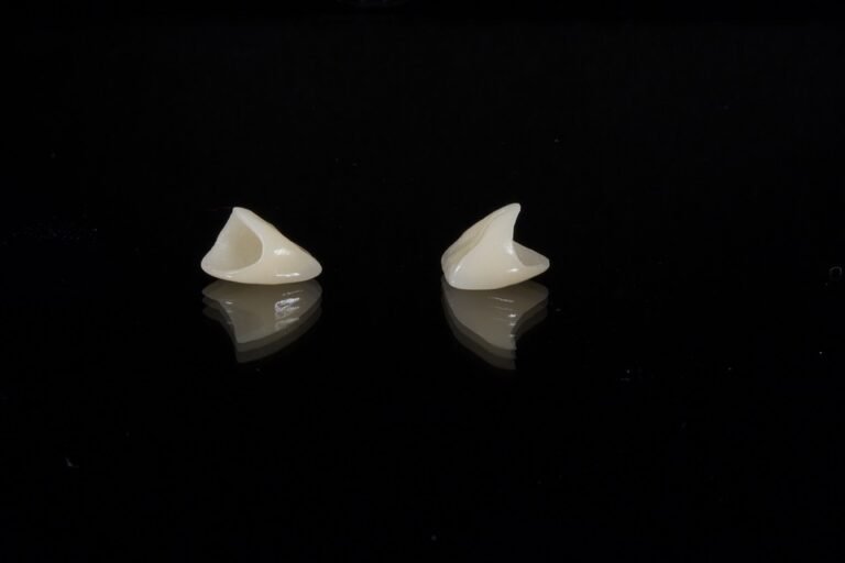 What software is used for 3D dental modeling?