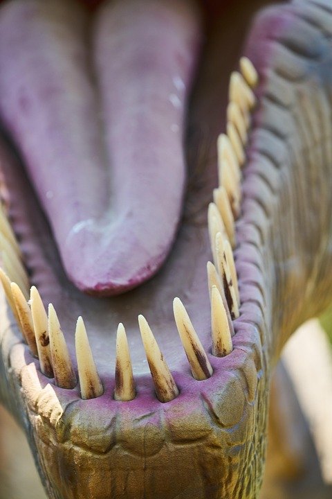 What are the ethical considerations in dentistry