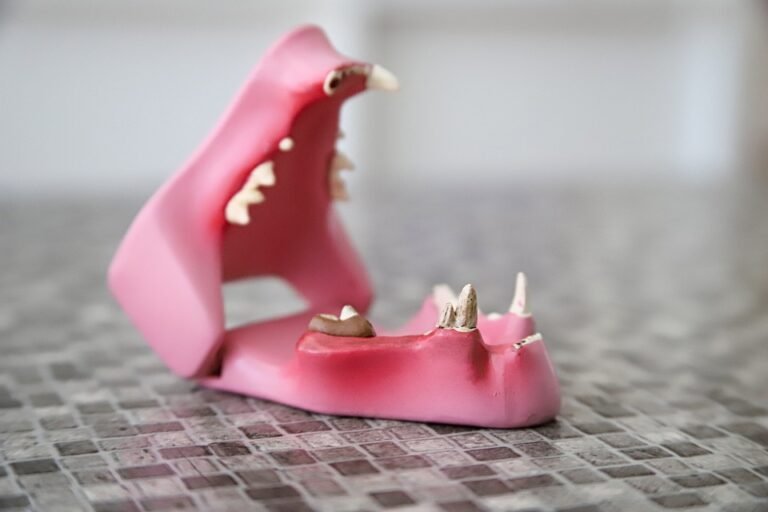 How can I maximize the value of my dental consultation