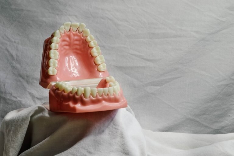 How does dental photography help with documentation and record keeping?