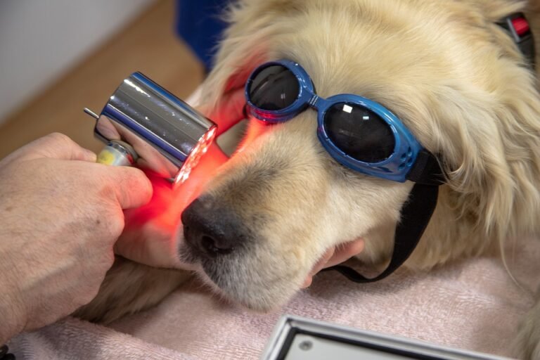 What are the benefits of using a ring flash with a dental lens