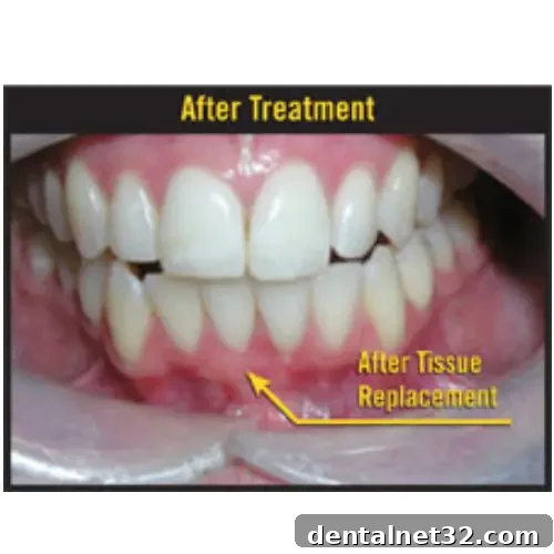 featured 17582