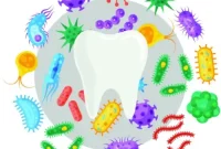 Decoding Your Oral Microbiome for a Healthier You