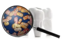 Decoding the Link Between Diabetes and Gum Disease