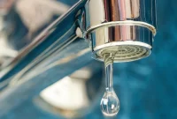 Florida Fluoride Ban The Public Health Debate