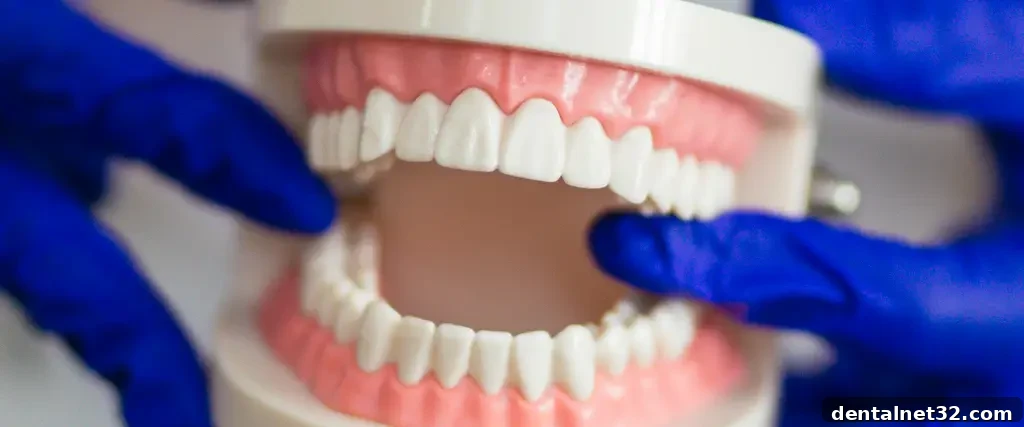Dentist explaining dental terms to a patient